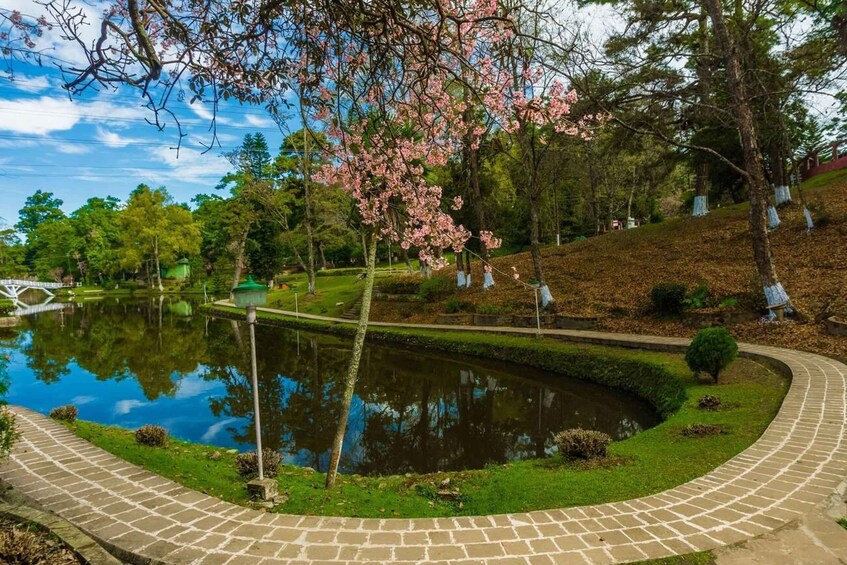 A serene park with a pond, cherry blossoms, and a brick pathway. 4