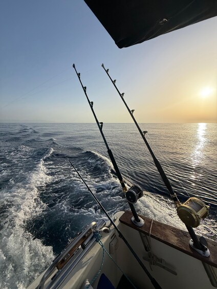 Picture 14 for Activity Fishing experience in the Bay of Malaga City 3