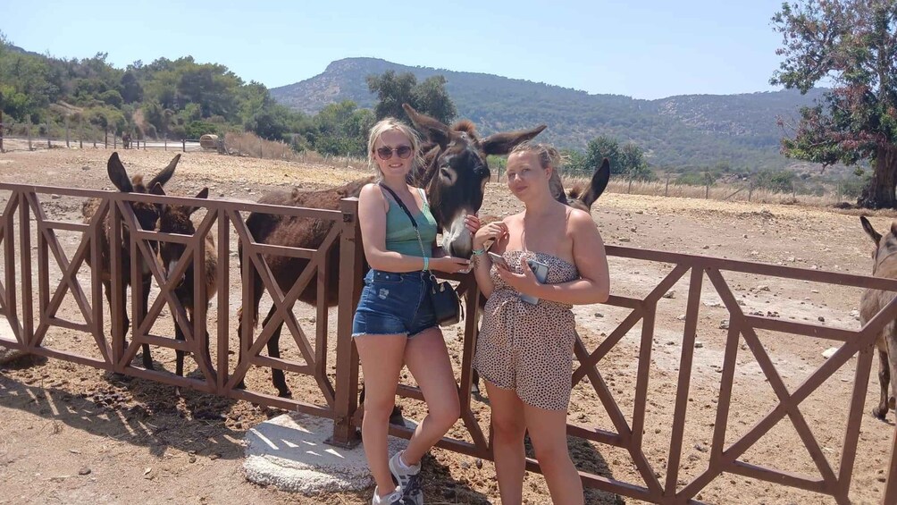 Two people standing by a fence with donkeys in a dry, hilly landscape. 3