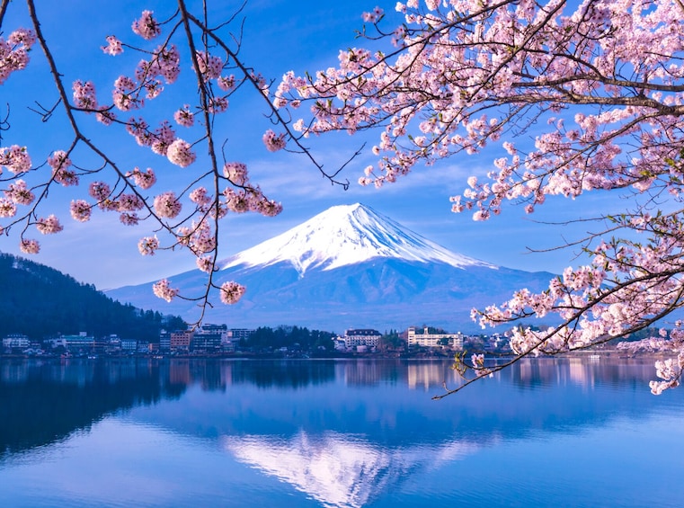 Mount Fuji reflected in a calm lake, surrounded by cherry blossoms and a cityscape. 1