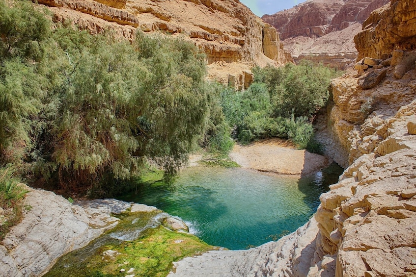 A canyon with a clear blue stream surrounded by rocky cliffs and green vegetation. 5