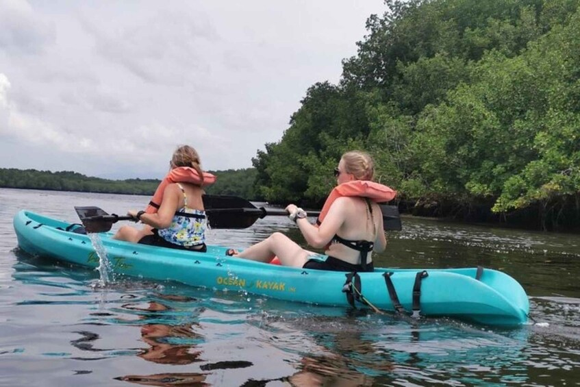 Picture 2 for Activity Monkey Sanctuary Reserve & Kayaking at Bahia Jiquilisco 2