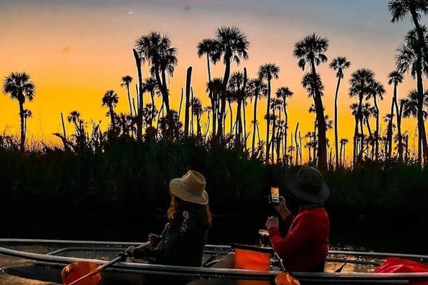 Weeki Sunset 4