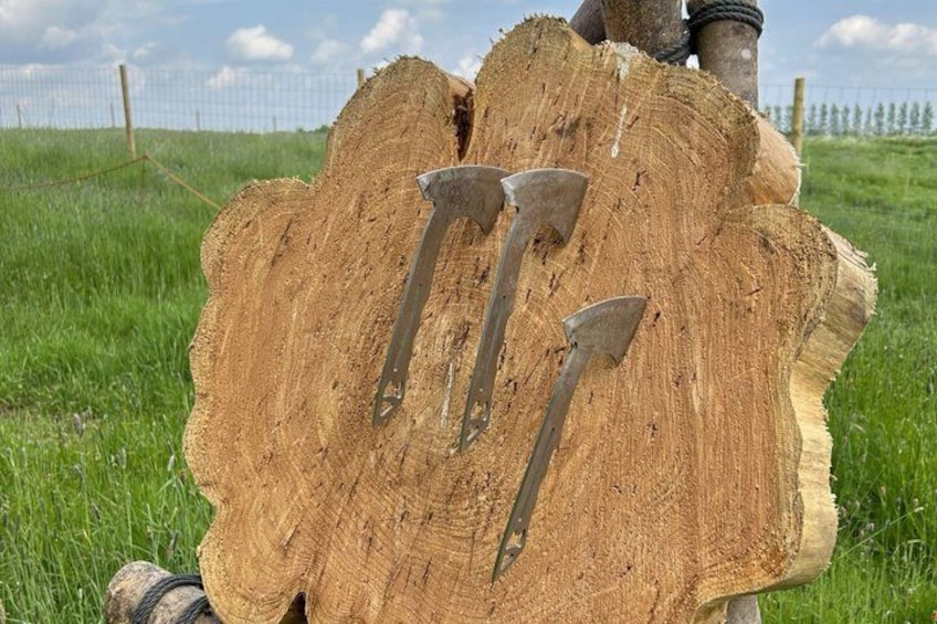 A tree stump with three metal spikes and a rope tied around it, set in a grassy field with a fence in the background. 2