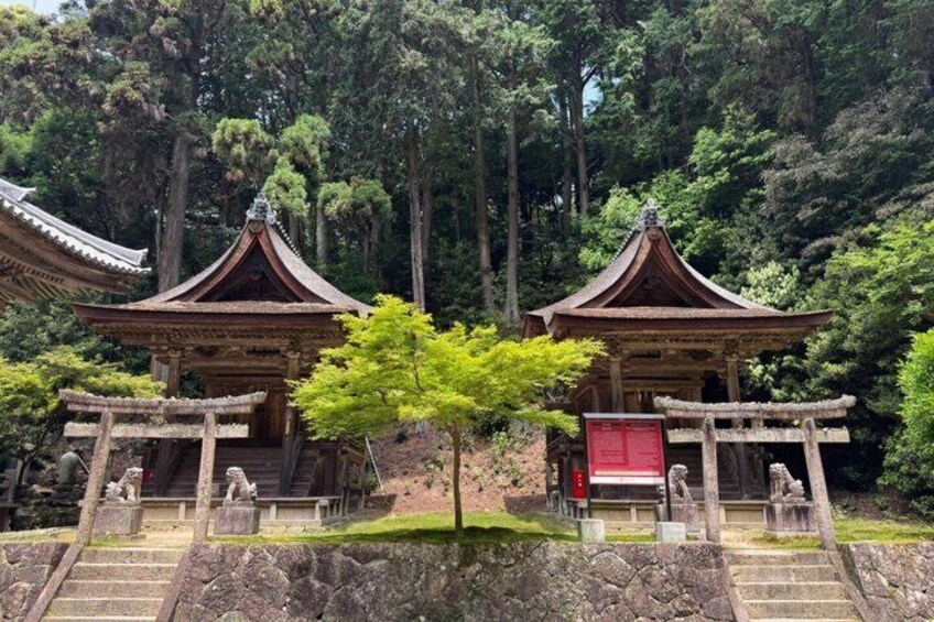 Ein traditioneller japanischer Tempel mit zwei Hauptgebäuden, einer Steintreppe und einem kleinen Baum in der Mitte. 2