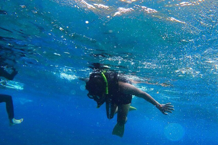 A person scuba diving underwater. 3