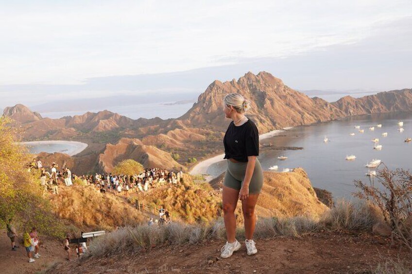 A person standing on a hill overlooking a coastal landscape with mountains and a bay. 4