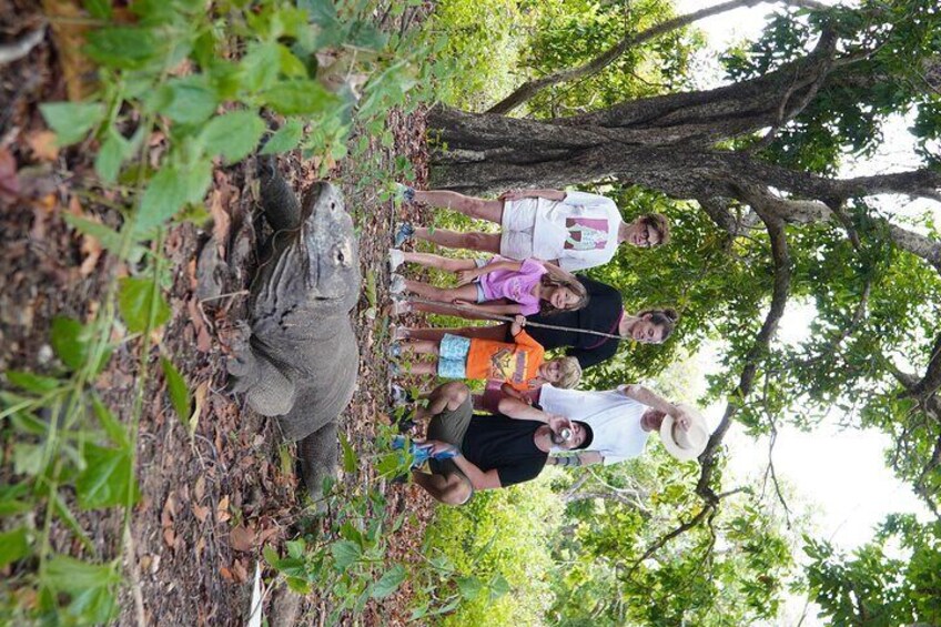 A group of people standing around a large tree in a forested area. 2