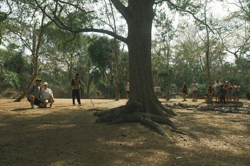 A group of people gathered around a large tree in a forested area. 5
