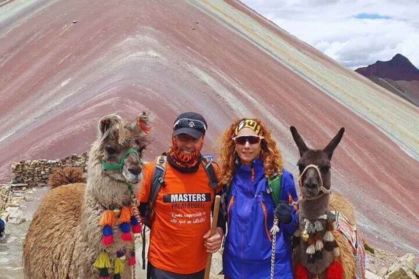 A person with llamas in a mountainous area. 5