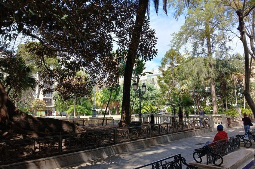 Un parque con árboles, bancos y bicicletas. 5