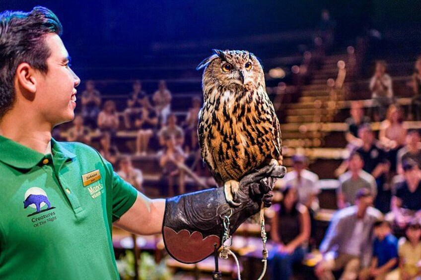 Night Safari Singapore Tickets with Tram Ride Experience 3