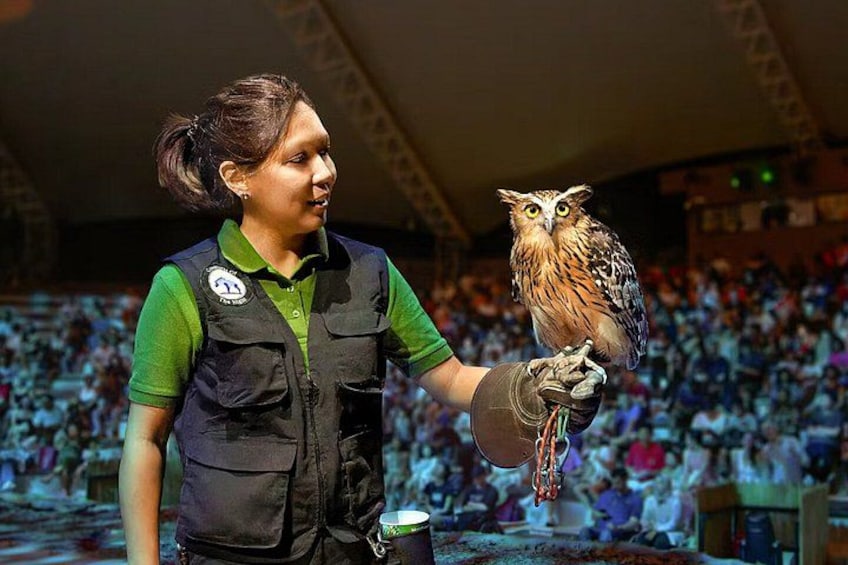 Night Safari Singapore Tickets with Tram Ride Experience 4