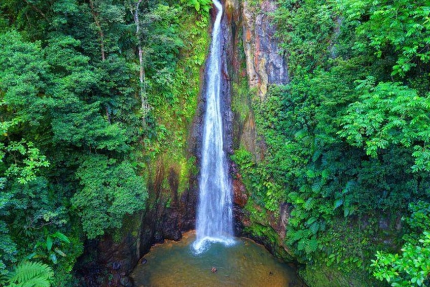 A waterfall surrounded by dense green foliage. 2