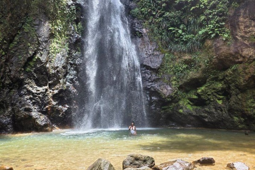 Ein Wasserfall stürzt in einen klaren Pool, umgeben von steinigen Klippen und üppiger Vegetation. 3