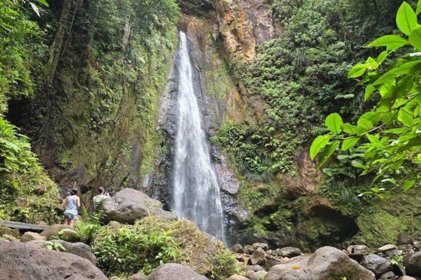 Ein Wasserfall, umgeben von üppigem Grün und Felsen. 4