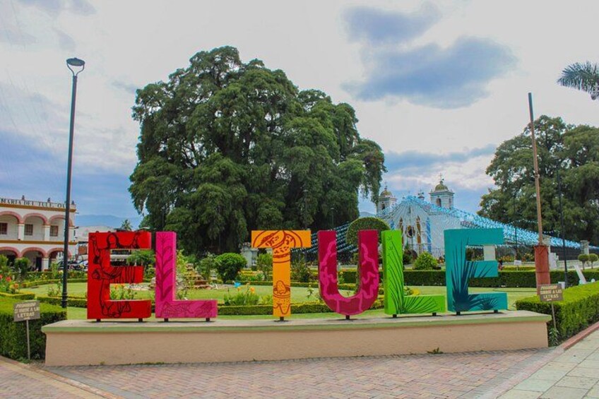 Colorful letters spelling 'ELITE' on a platform with a garden and a building in the background. 1