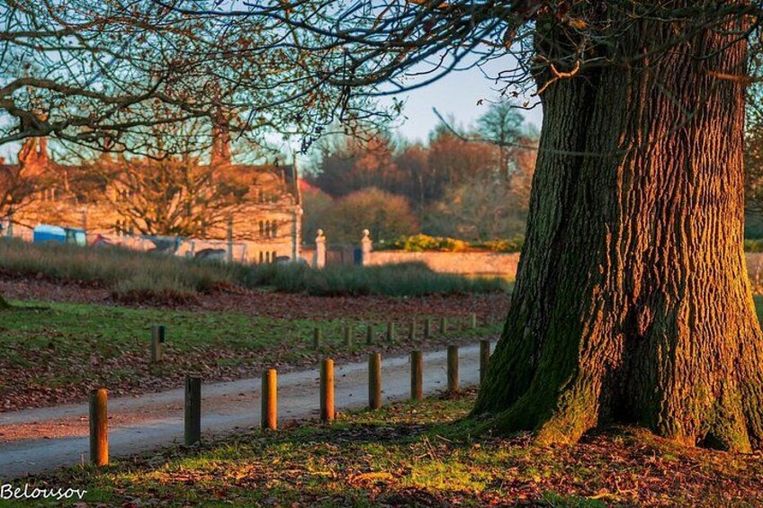 A tree-lined path with a fence, a building in the background, and a clear sky. 1