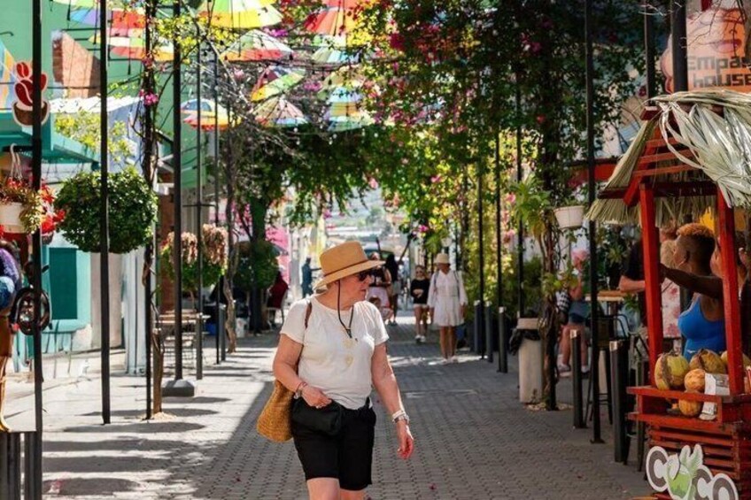 Puerto Plata Sightseeing & Local Flavors Tour 3