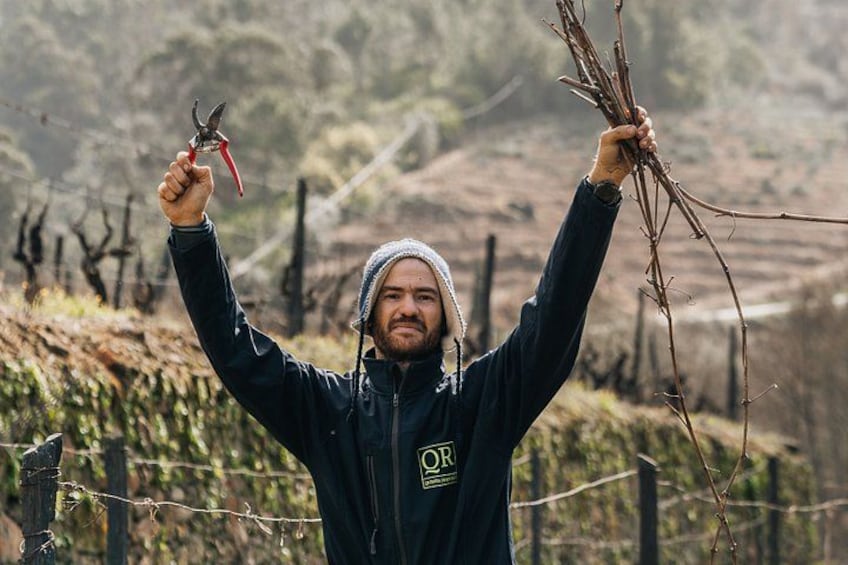 Practical Experience in the Vineyard: From Poda to Vindima 1