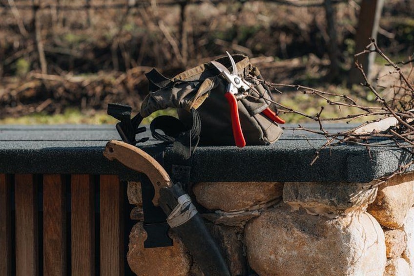 Practical Experience in the Vineyard: From Poda to Vindima 2