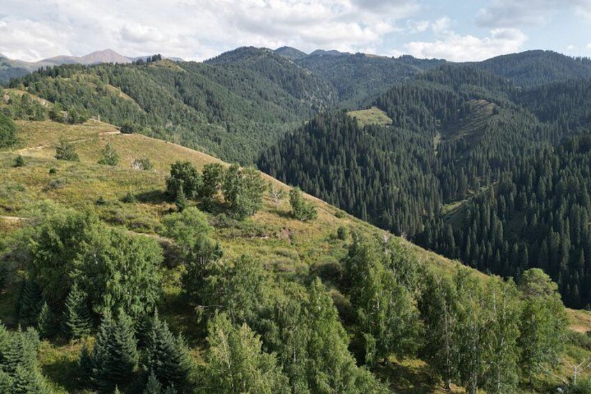 Un paysage montagneux, avec de vastes forêts et des collines ondulantes. 1