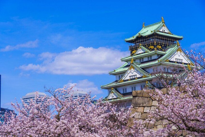 Ett traditionellt japanskt slott med flera våningar, omgivet av blommande körsbärsträd. 4