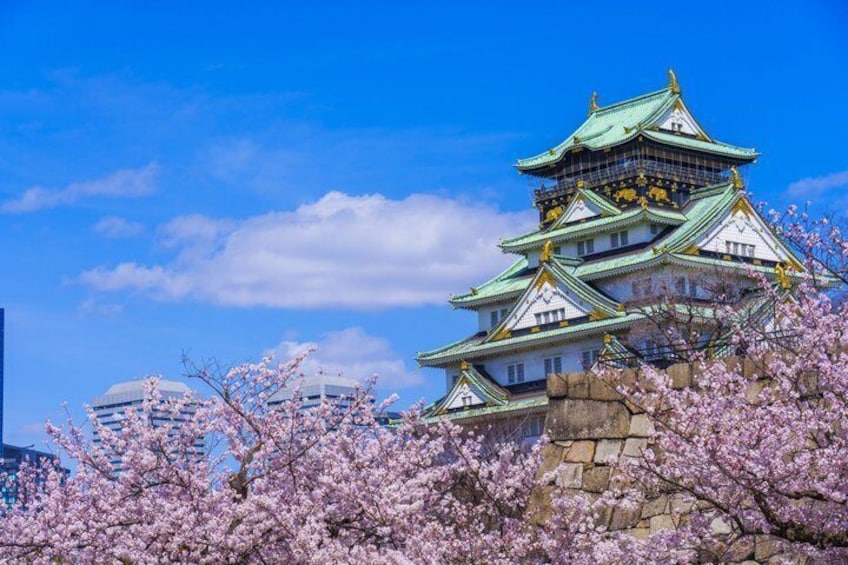 Et traditionelt japansk slot med flere niveauer og grønne tage, omgivet af kirsebærblomster. 5