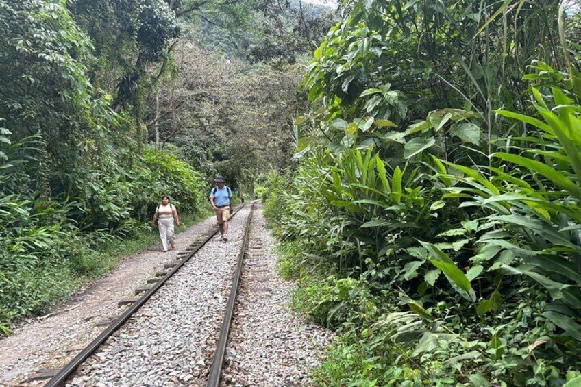 Twee mensen wandelen op een rails, omringd door weelderige begroeiing. 4