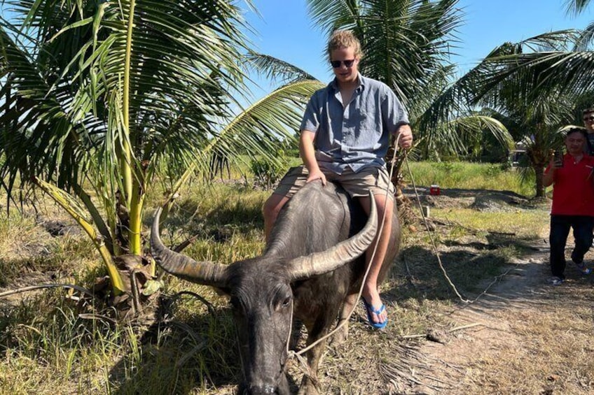Iemand rijdt op een waterbuffel in een grasrijk gebied met palmbomen. 5