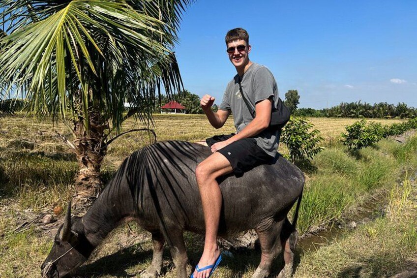 Een persoon zittend op een zebra in een grasveld, met een palmboom en een rood gebouw op de achtergrond. 5