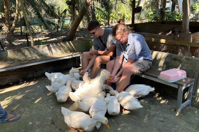 Twee personen zitten op een bank, omringd door een groep witte ganzen. 1