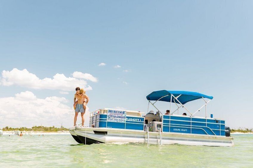 Private 2-Hour Dolphin & Snorkeling Tour 4