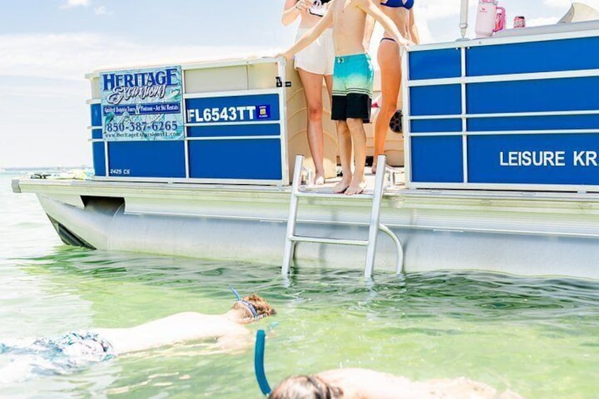 Private 2-Hour Dolphin & Snorkeling Tour 5