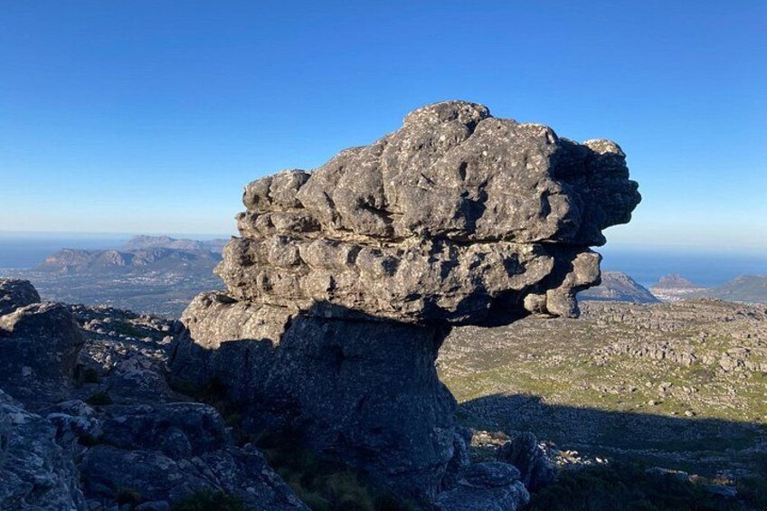 Table Mountain: Skeleton Gorge Guided Hike to Upper Station 5