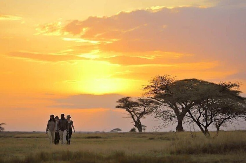 Serengeti Great Migration 5 Days Mara River crossing 2
