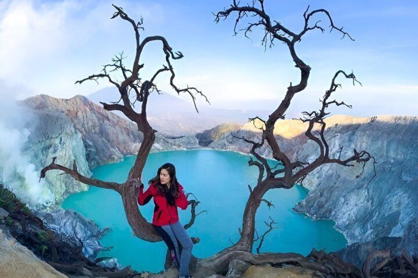 A person standing on a tree branch with a lake and mountains in the background. 4