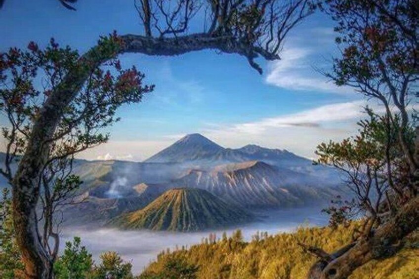 A mountain landscape with a prominent volcano, forested areas, and a clear sky. 1
