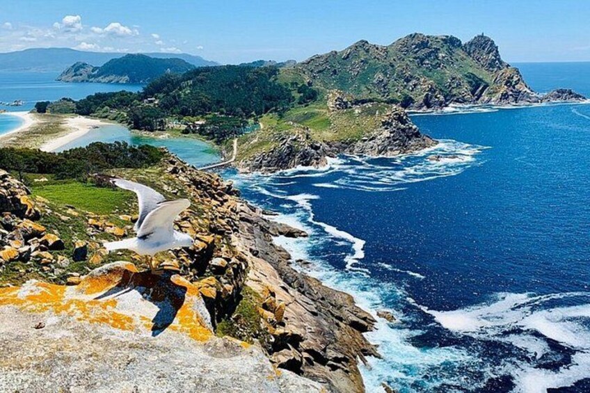 Cíes Islands Day Trip from Santiago with Ferry and Transport 2