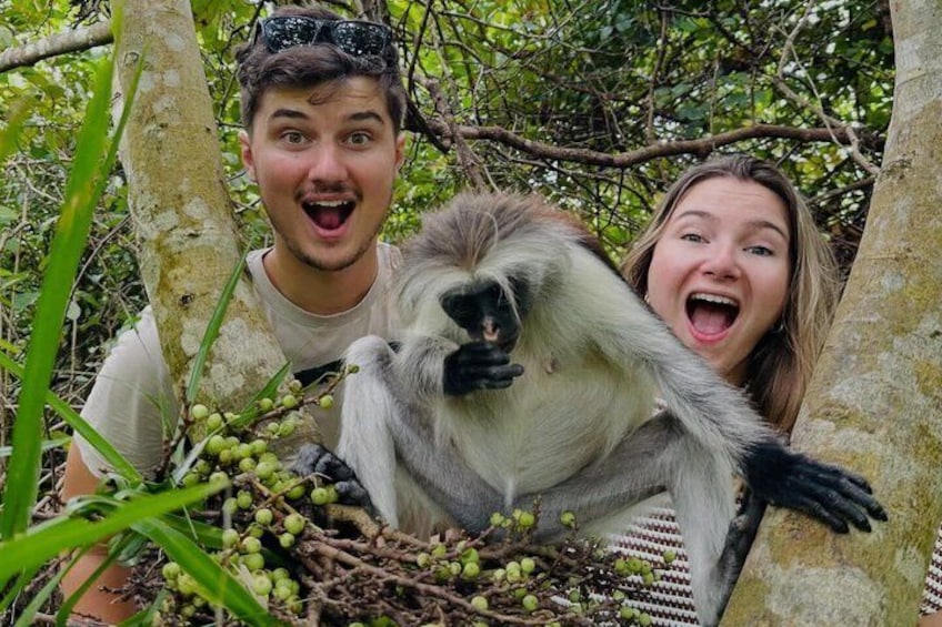 Zanzibar: Jozani Red colobus monkeys and Spice Farm with Lunch 2