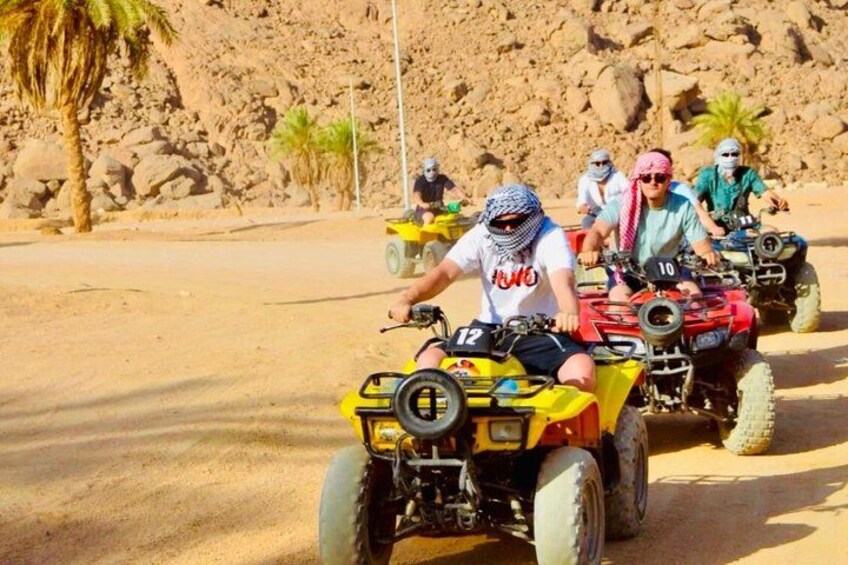 People riding ATVs on a dirt road with rocky terrain and palm trees in the background. 5