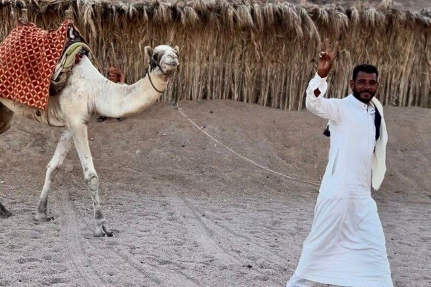 A camel with a rider in a desert setting. 4