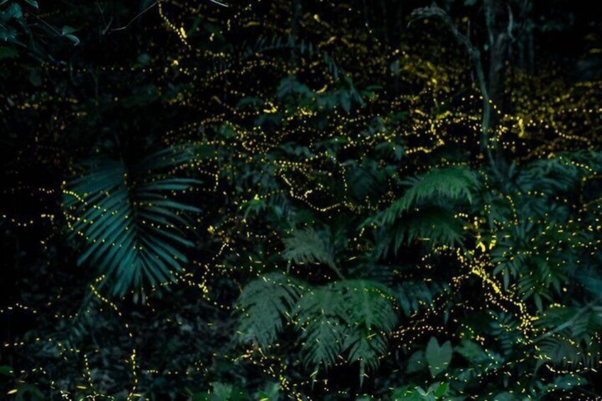 A dense forest with green foliage and yellow lights scattered throughout. 5