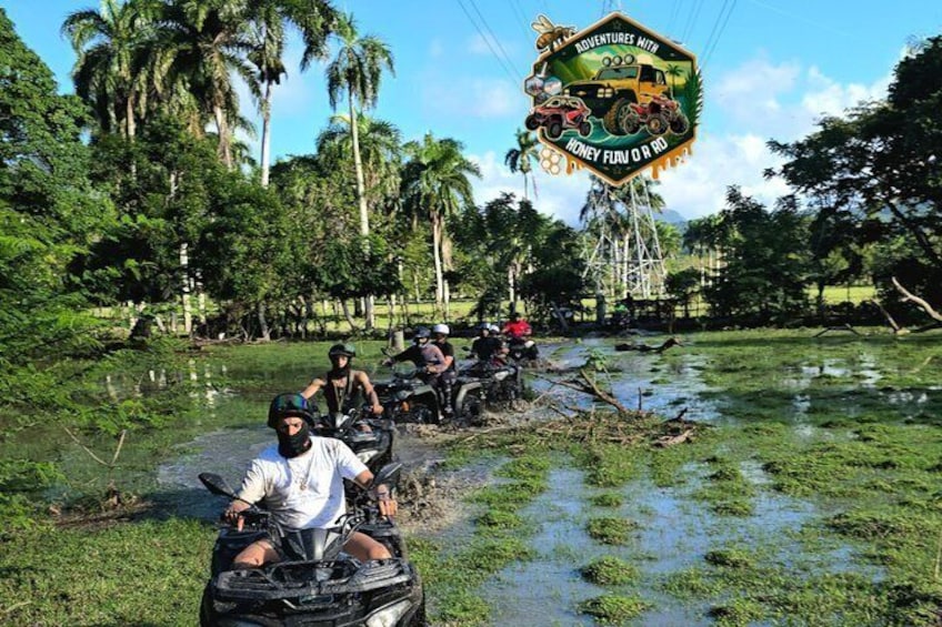 People on all-terrain vehicles in a wetland area with palm trees. 4
