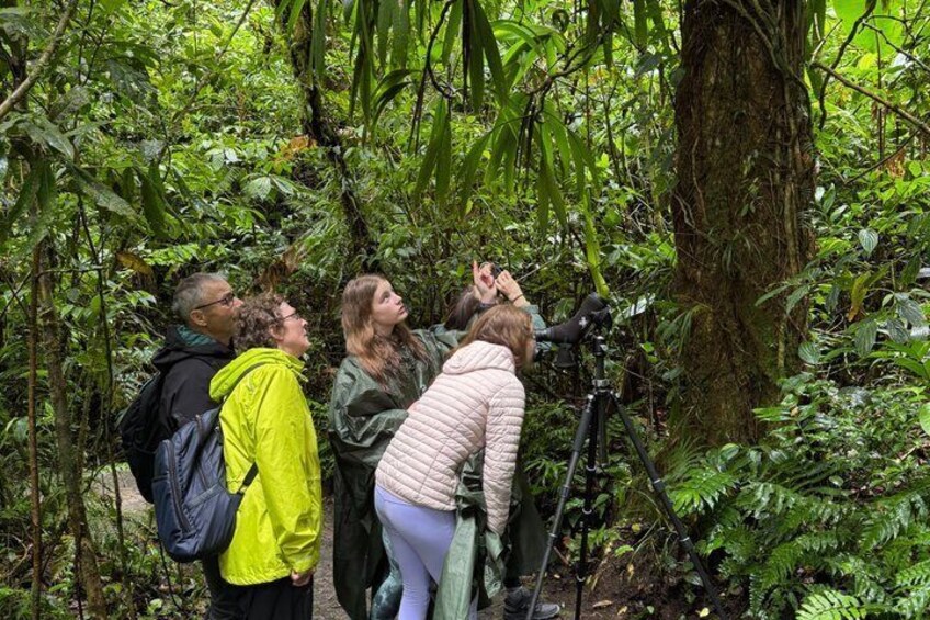 Monteverde Wildlife Tour with Expert Naturalist Guide 4
