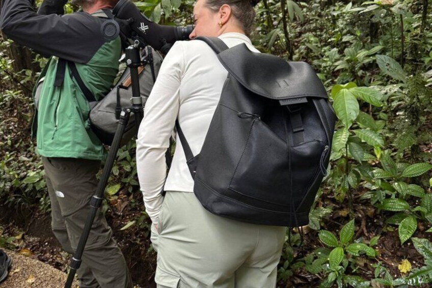 Monteverde Wildlife Tour with Expert Naturalist Guide 5