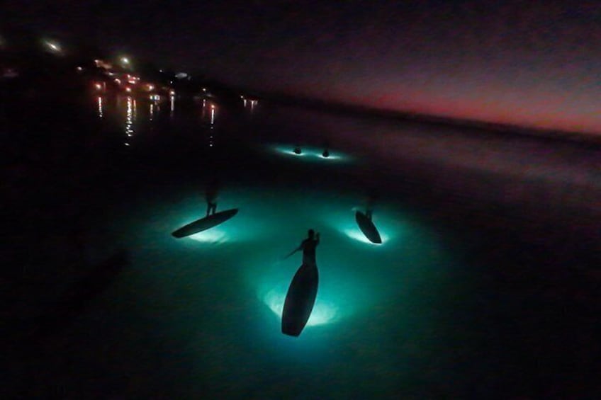 Ein nächtliches Bild mit drei beleuchteten Surfbrettern am Strand. 1