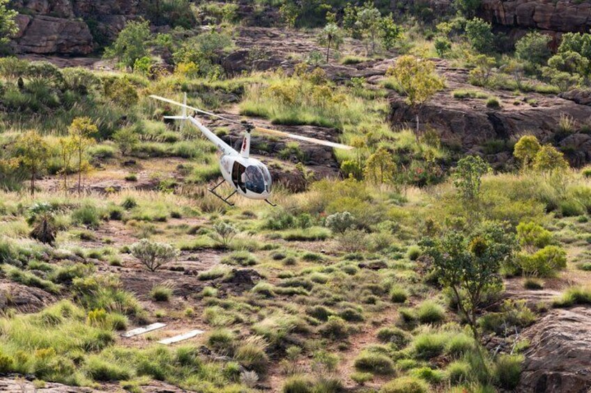Nitmiluk Heli Art Adventure Scenic Flight and Aboriginal Art Tour 3