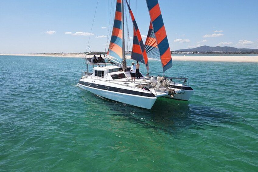 Private Blue Lagoon Tour: Full Day Catamaran Adventure 3
