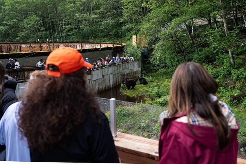 Sitka Historical Highlight Tour 2